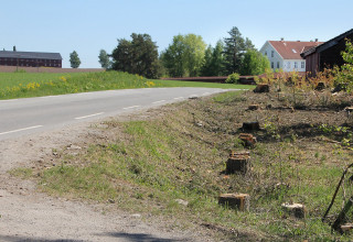 60-sone langs Vestbygdvegen
