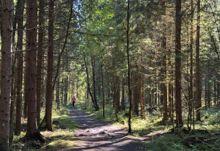 Bevar Klukhagan – for natur, trivsel, friluftsliv og kommende generasjoner